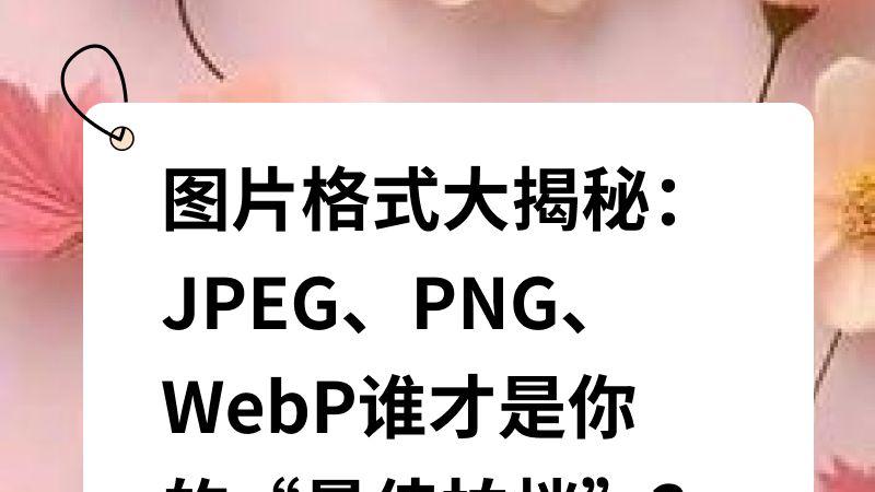 图片格式大揭秘：JPEG、PNG、WebP谁才是你的“最佳拍档”？