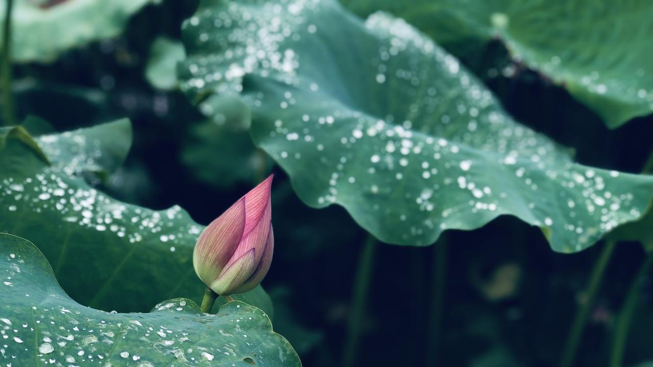 真正厉害的女人，对待男人的态度只有4个字