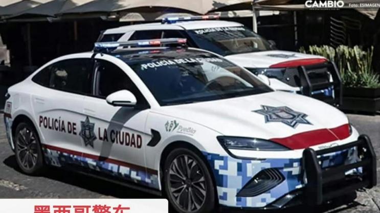 中国潮席卷全球！比亚迪凭硬核实力闪耀海外公务车市场