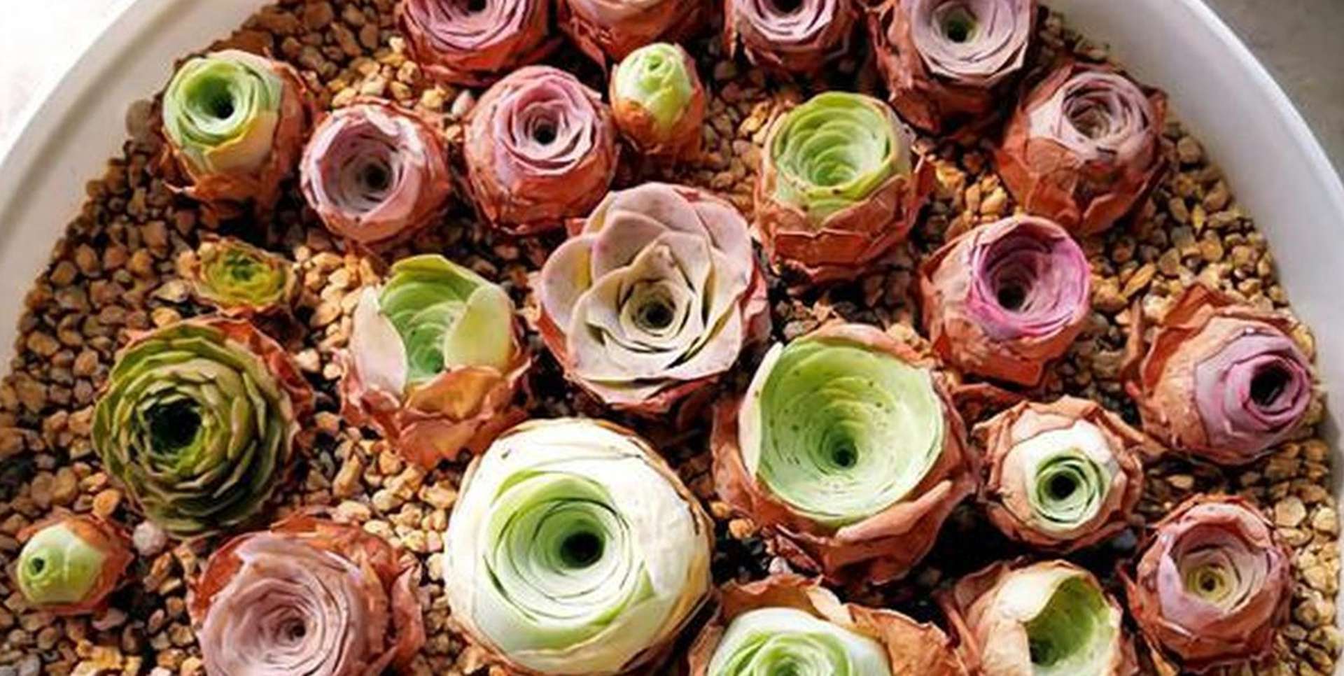 山地玫瑰干燥工艺，北方加工要点，防寒物资清单，千万要备齐