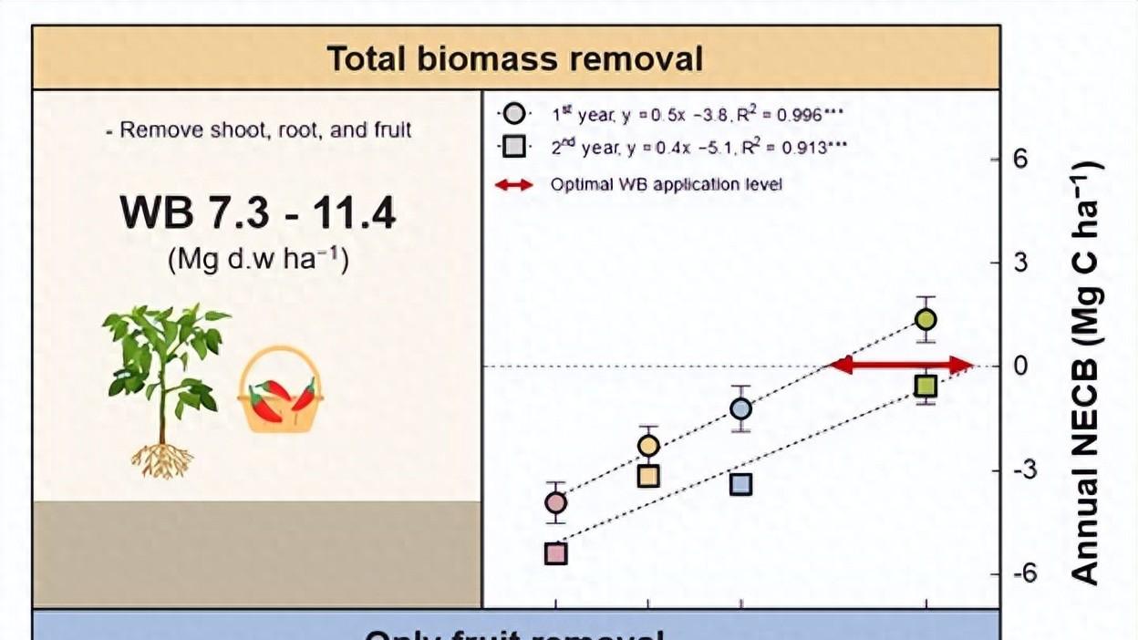 可持续利用木质生物炭在辣椒田中提升土壤碳含量和作物产量
