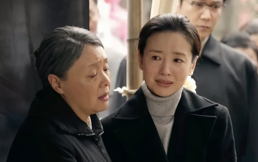 央视《六姊妹》大结局：最惨的不是“中年丧夫”，独自抚养六个孩子的刘美心，也不是“扶妹魔”何家丽