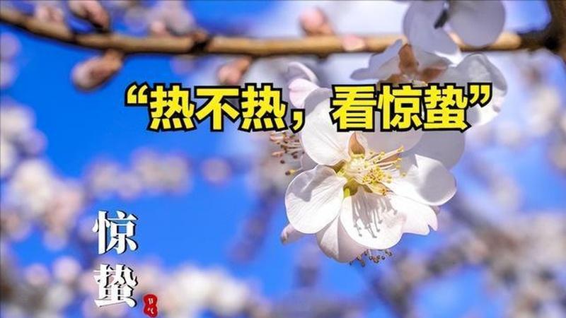 惊蛰节气到，农事活动忙，今年夏季高温对农作物影响如何？