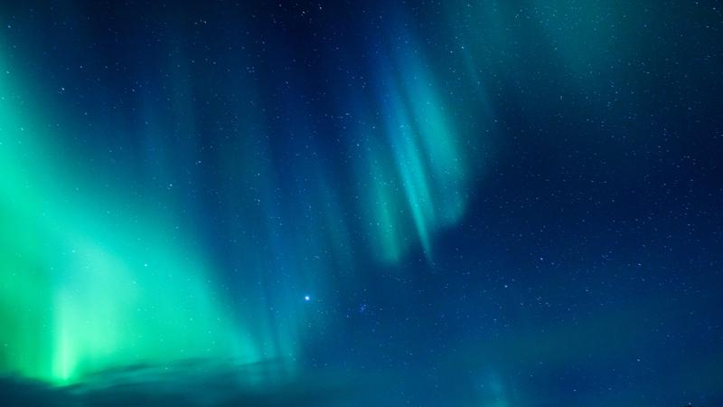 那些看起来没出息的孩子，更值得我们善待。往往留在身边尽孝的，都是当初那些没出息的孩子！