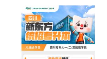 四川专升本报考机构提供的服务，包含哪些关键内容？