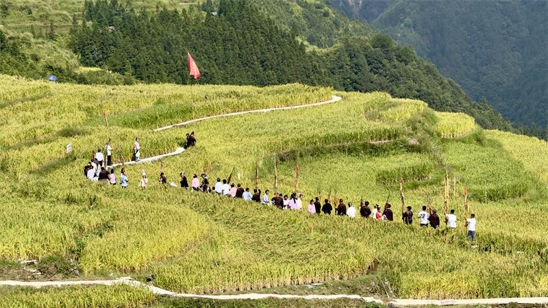 贵州村T走进贵州“村梯”，与超模共同演绎金色大地“指纹”