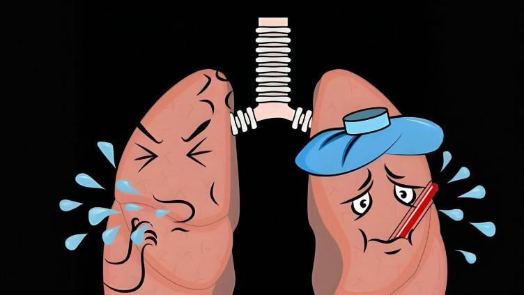 NK细胞与干细胞联手，为流感防治带来新希望