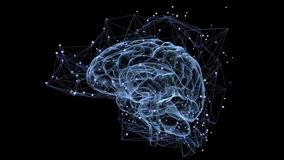 最新科学研究：为什么有些记忆能伴随一生，而有些记忆却会迅速消逝？