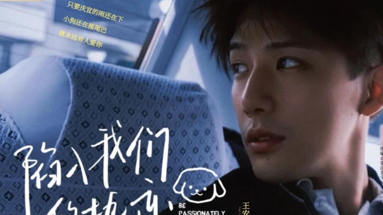 央视开拓者栏目鉴赏情感力作，青春与爱情的画卷