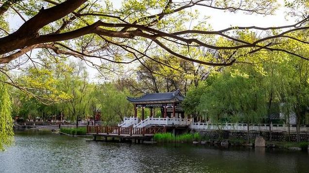 石家庄24岁小学女老师，工作钱少事多离家远，想辞职考公务员可否