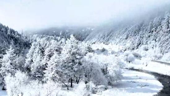 香格里拉普达措落雪成诗，邂逅世间最美冰雪秘境