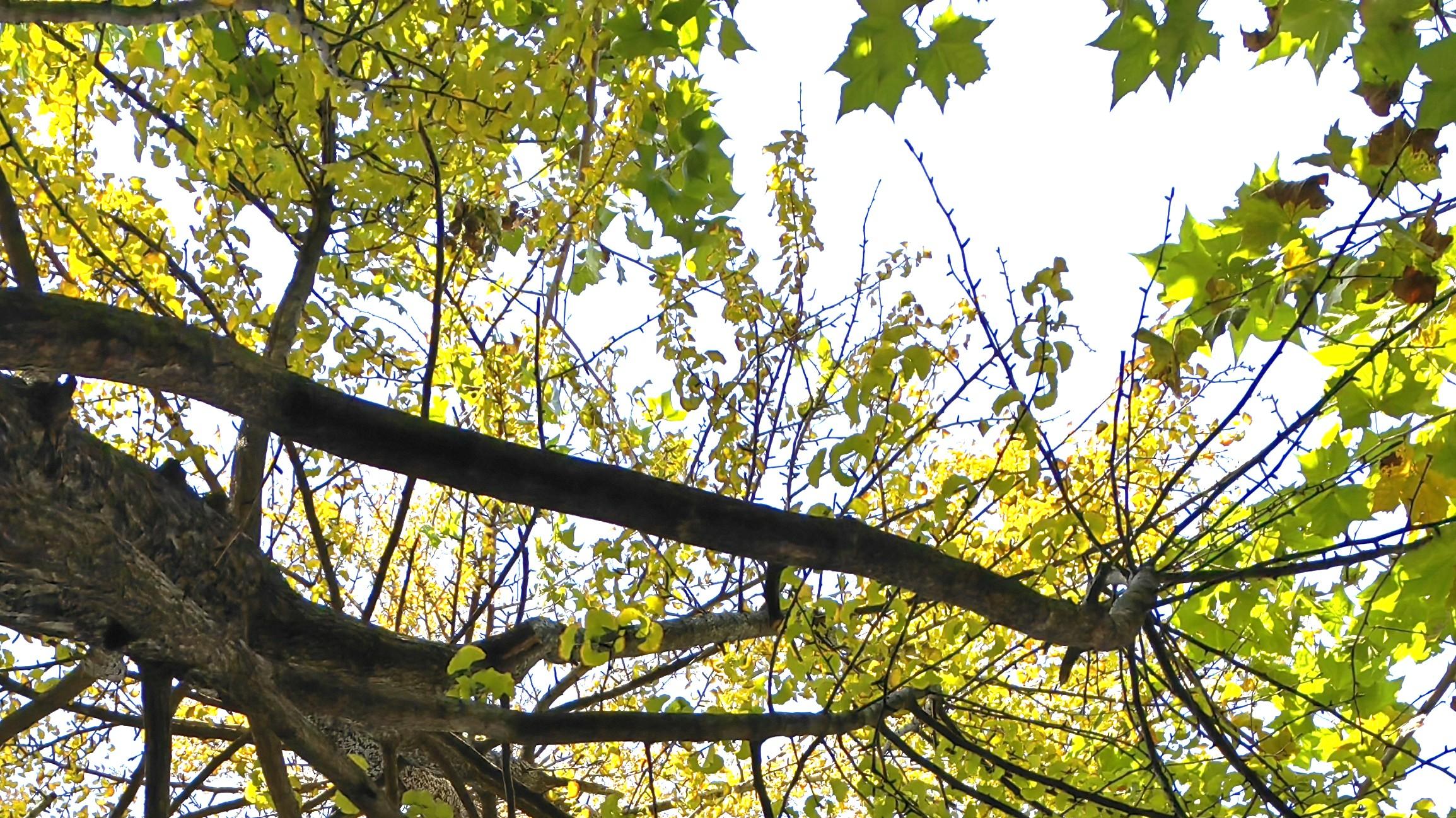 人在职场：能力被看见，机会才遇见