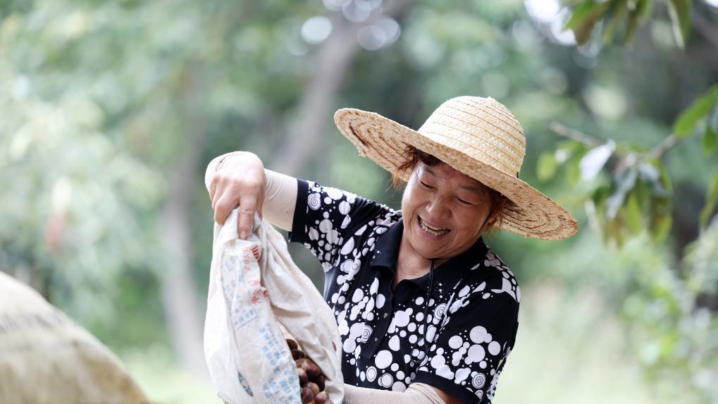 金秋好“丰”景