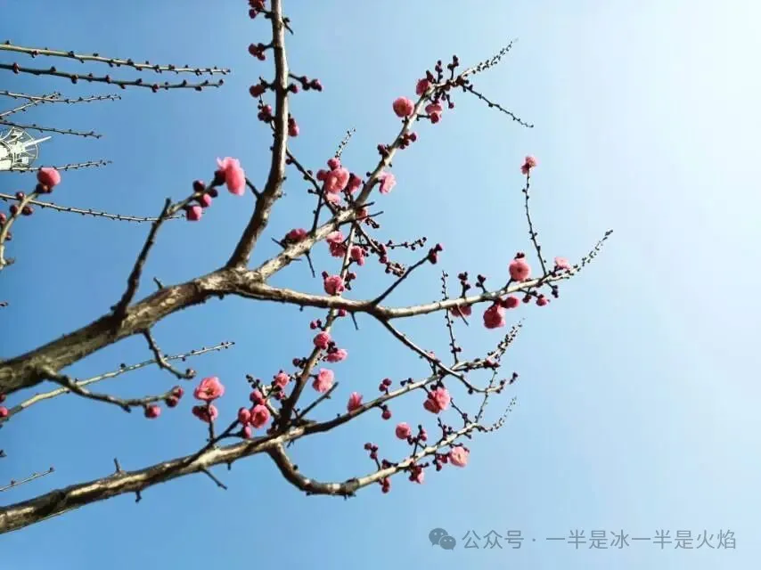 随笔：且将旧事归于尽