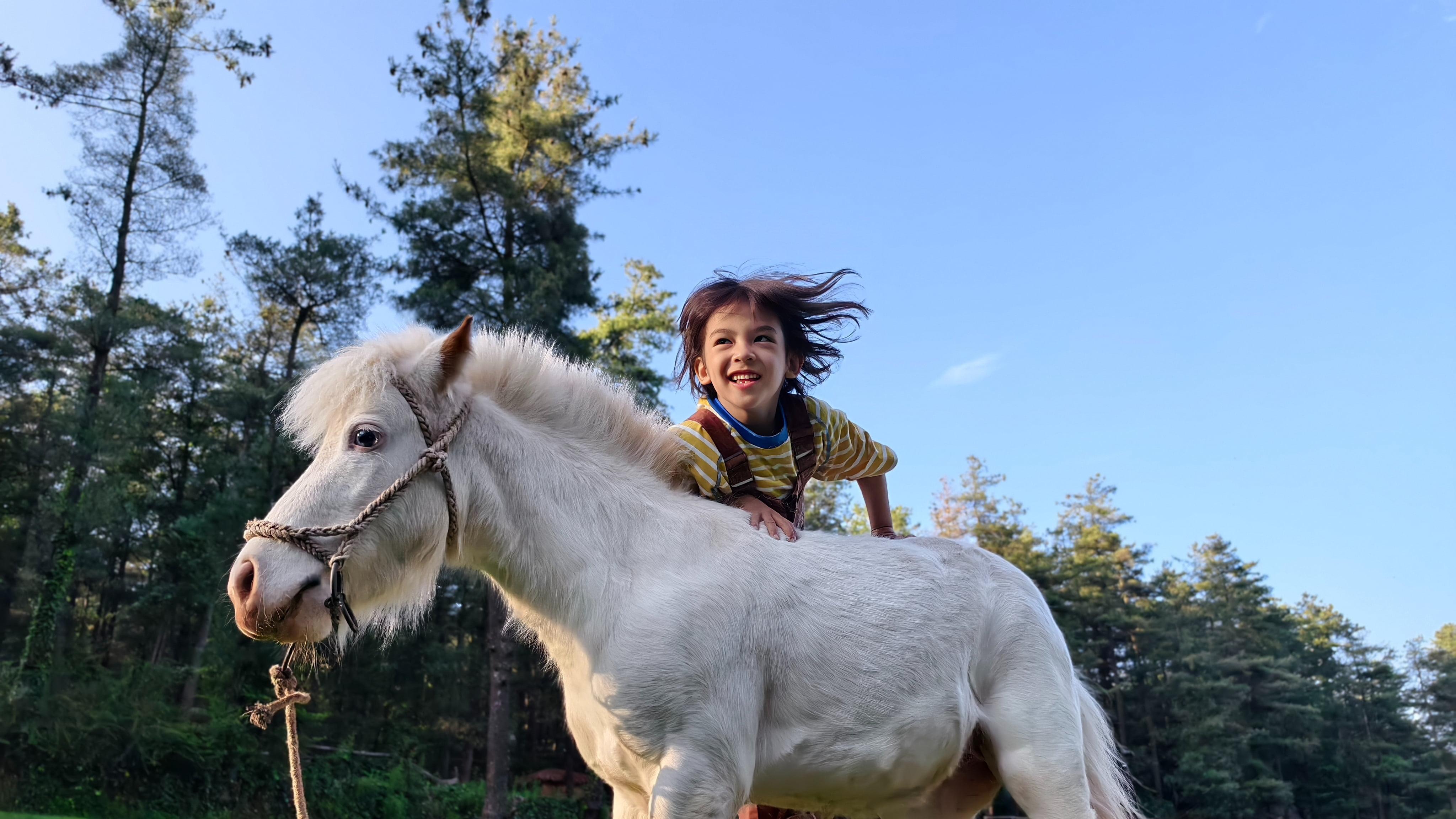 最轻大折叠屏 vivo X Fold5的影像实力重构折叠屏拍摄体验