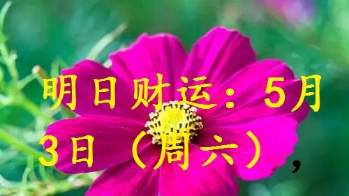 明日运程：5月3日（周六），哪些人财旺