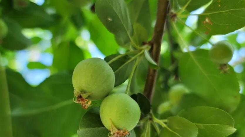 就是在赌！俄军豁出去了，疯狂大冒险，结果俄罗斯掉坑里了