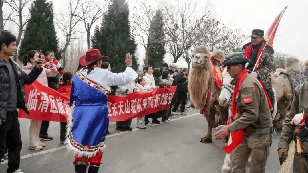 “东天山来的骆驼队”返程走运输模式方案已定