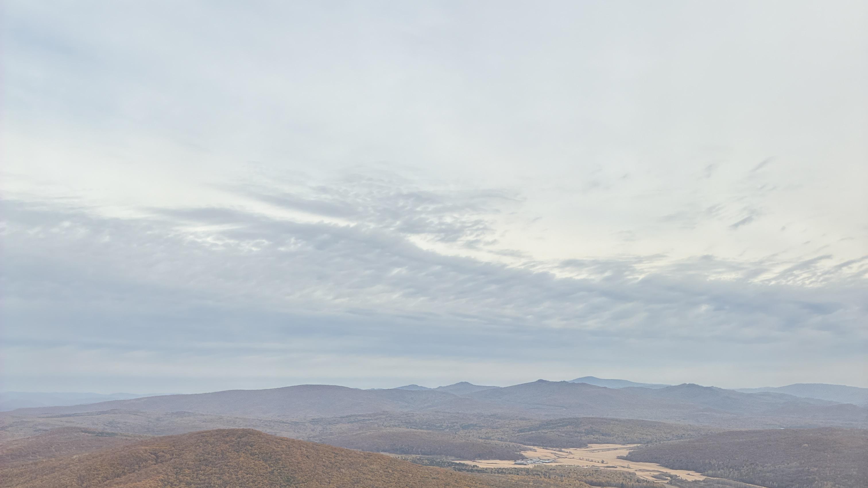 2025乙巳蛇年每日通盛及各生肖运势12月14日