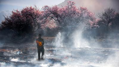 燃烧秸秆污染环境吗