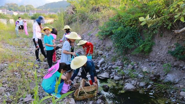 教育本质大对决：筛选 “修罗场”，还是育人 “乌托邦”？