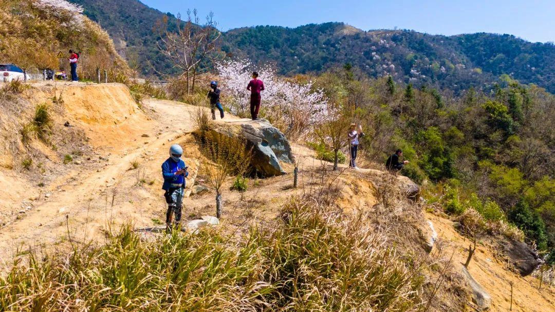 离四明大桥32公里的路边有个野生平台，能远眺清潭坑村全景