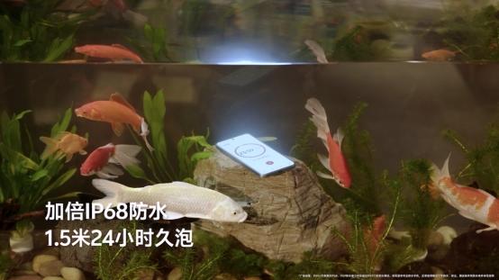 vivo Y500耐用性能点满，日常全场景都能放心使用