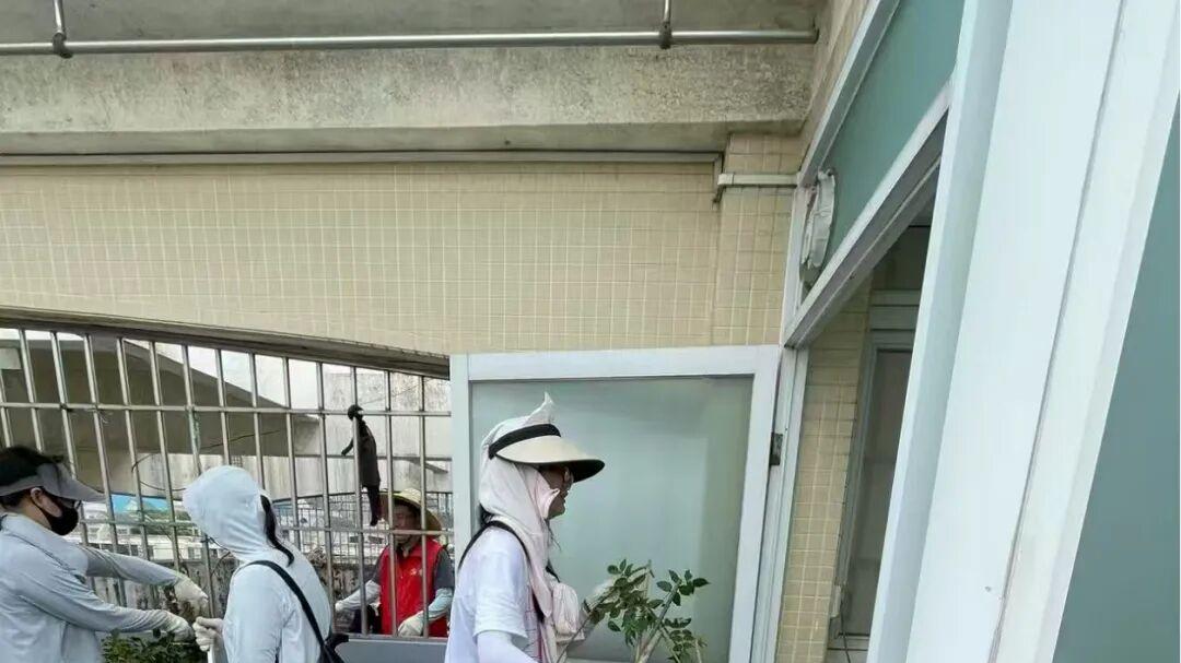 杀疯了！全民灭蚊总动员，大广东给我们上了一课