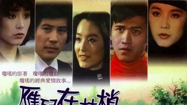 琼瑶早年复仇爱情片《雁儿在林梢》：女主为了调查姐姐的死因，同时勾引着兄弟俩；哥哥每天打100个电话寻