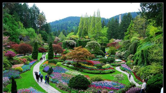 维多利亚的春天