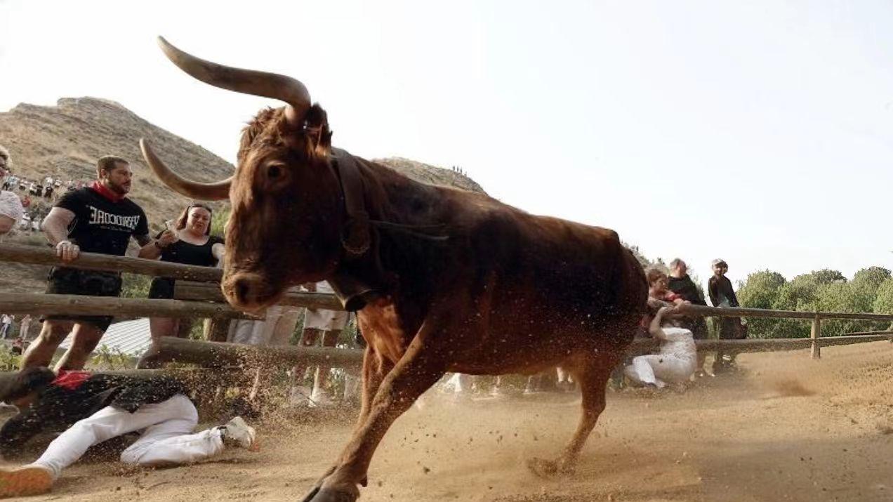 西班牙皮隆奔牛节