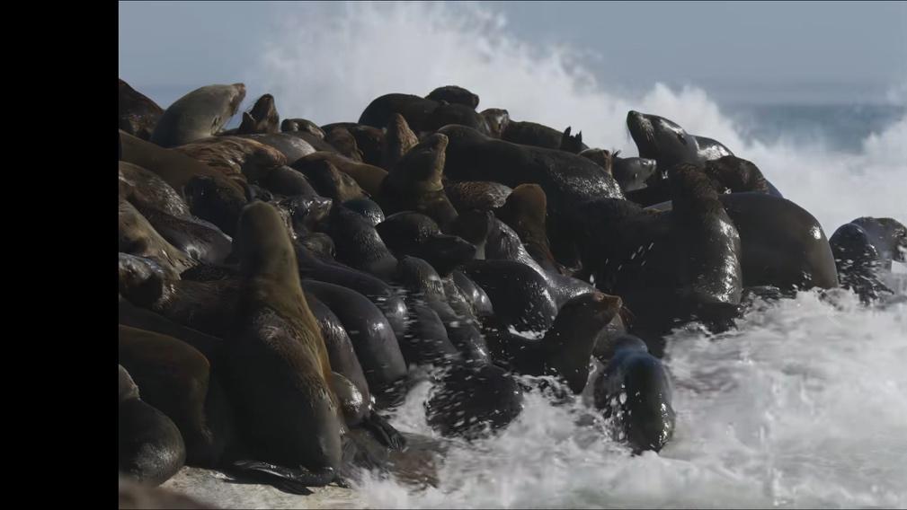这个国庆长假，我是怎么用八天时间治愈自己的？