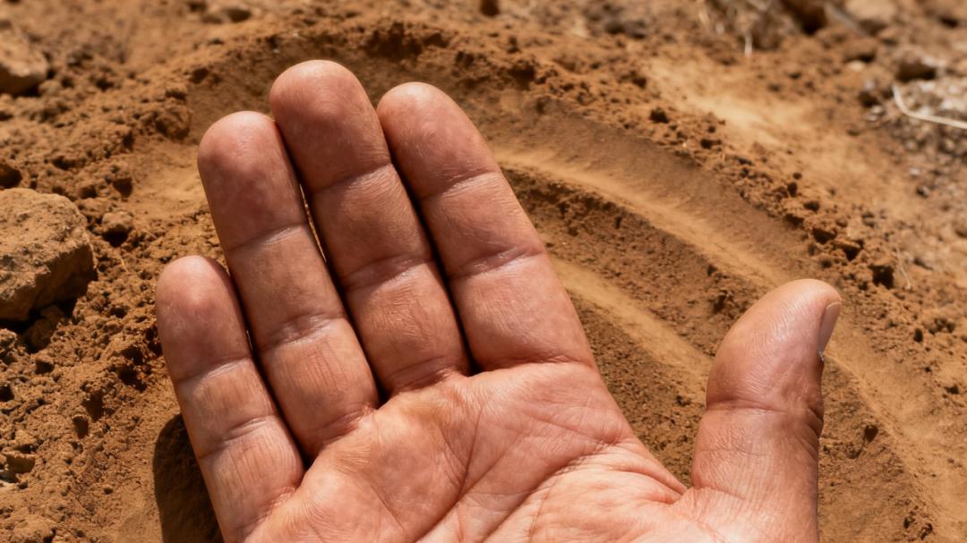 【玄】手相的财富玄机