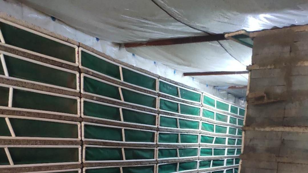 蜗牛喂养场所常打扫，残食粪便清理掉，清洁环境疾病少​