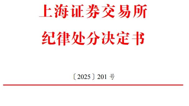 东旭集团“造假术”曝光：虚增收入478亿、侵占资金上百亿、年报“难产”，领17亿罚单，董事长被终身市