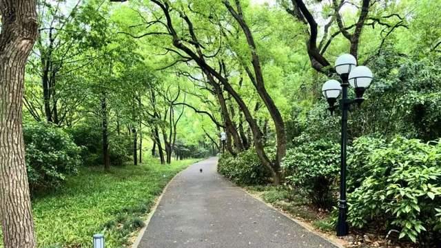 火速“服软整改”的西贝，困在“黄金牢笼”里