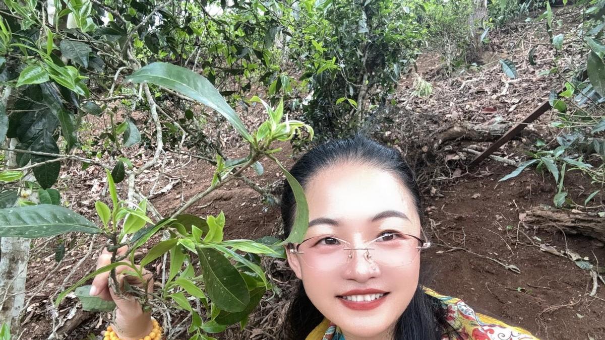 名如其人 茶如其人：李飞儿老茶馆的匠心坚守与茶文化传承之路