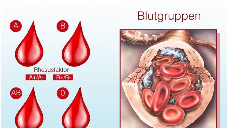 四大血型排行榜公布：B型血平均年龄76岁，排名第二，第1是哪型？
