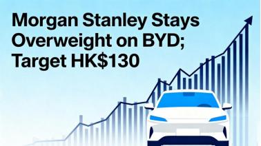 逆势获资本青睐，车企龙头韧性彰显，市场发展预期一片向好