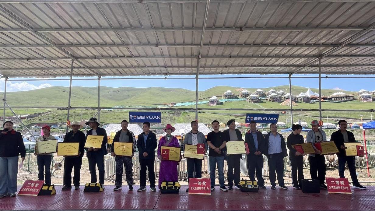 北元剪毛机助力天祝县第七届机械剪羊毛技能大比武圆满成功