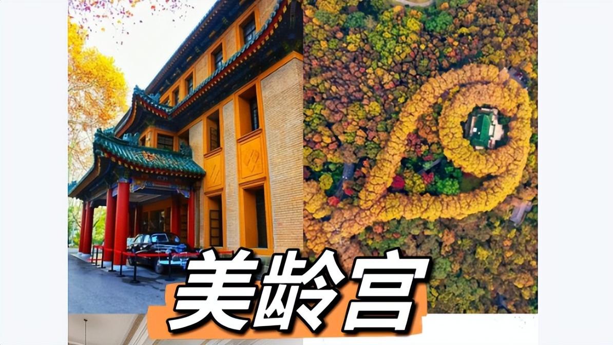 蒋介石为啥留光头？有多种传闻，宋美龄的说法让人泪目