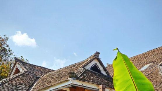 云南民族村周末游：多民族文化与手工艺探索