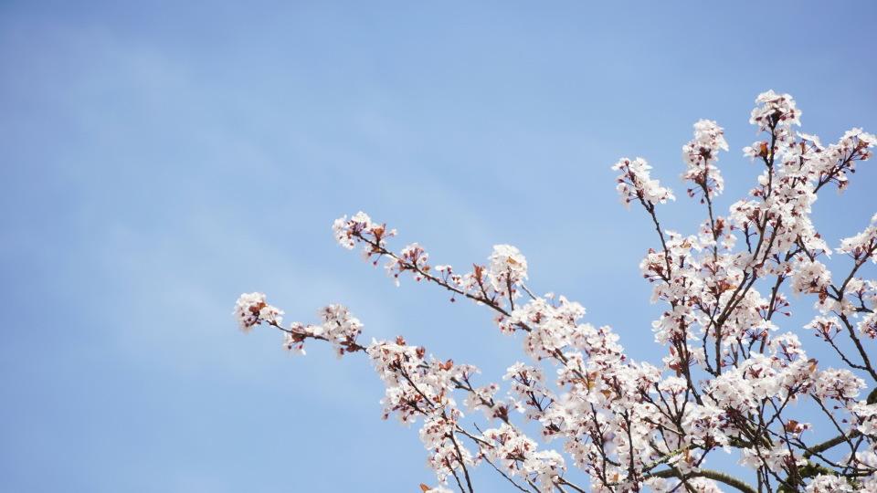 因为6000，我和老公10年的婚姻破裂：门不当户不对的婚姻，长不了