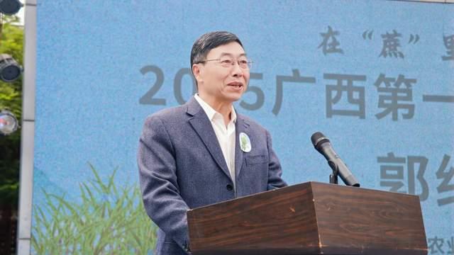 1135万亩种植、646万吨产量！广西甘蔗文化节彰显“中国糖罐”硬实力