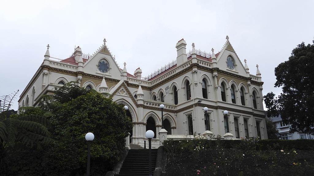 两株奇花“改变”欧洲史