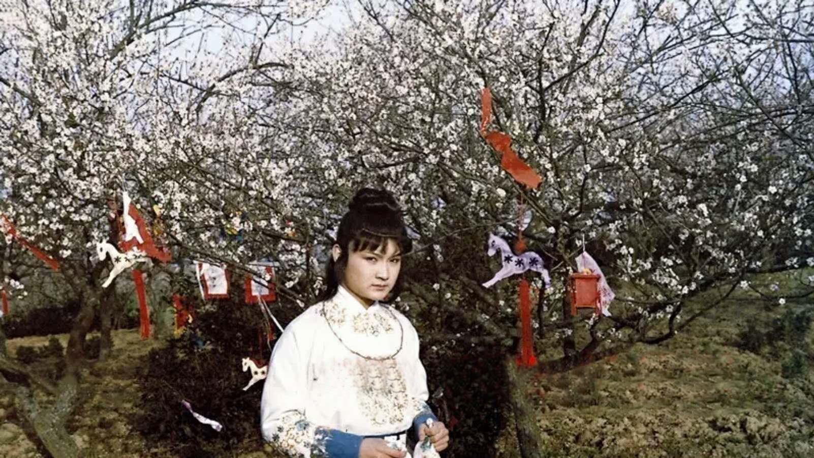 从深信到质疑：我为什么放弃了周汝昌的 “宝玉4月26日生日说”