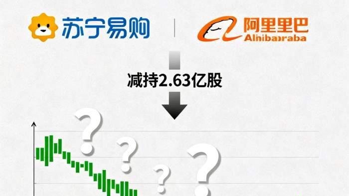 阿里减持2.63亿股，苏宁易购会不会直接被减退市？