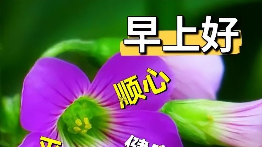 早上好祝福语暖心句子，新式早安问候语，祝你清晨多愉快