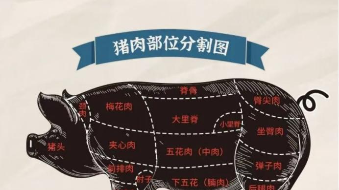 猪怎么分割？中国人的智慧藏不住