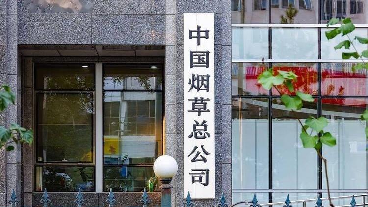 烟草叶片成熟度标尺，南疆绿洲采收季，比色卡分级，成熟度指数